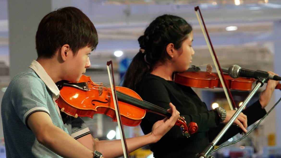 Violin