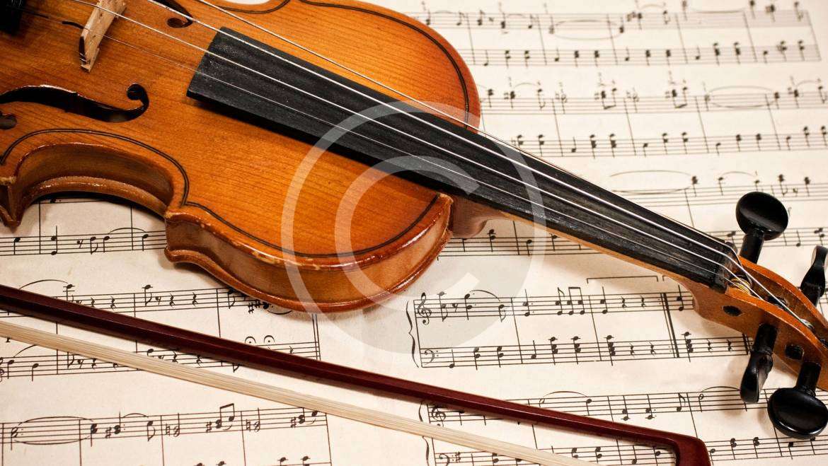 How to Make a Career in an orchestra